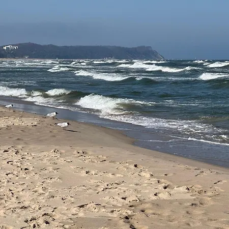 Ostseebad 4-personen-ferienhaus Mit Beh Wpool Goehren (Ruegen)